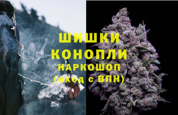 2c-b Новозыбков