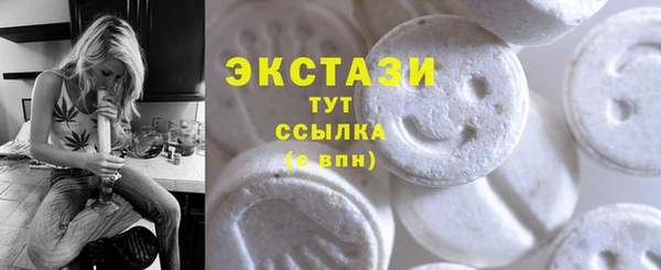 СК Новодвинск