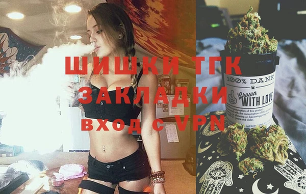 2c-b Новозыбков