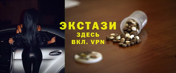 СК Новодвинск