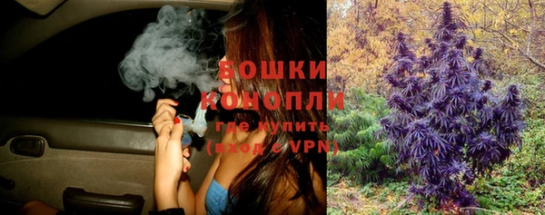 дживик Новокубанск