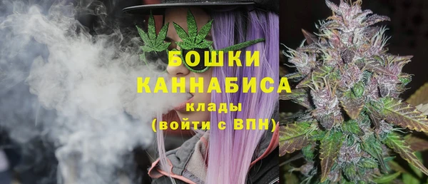 2c-b Новозыбков