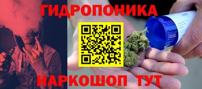 бошки Гусь-Хрустальный