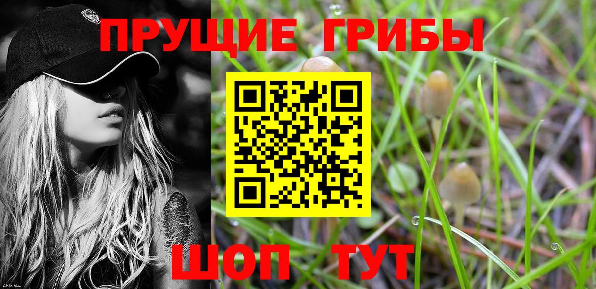 дарнет шоп  Вход с VPN  Лениногорск  Галлюциногенные грибы MAGIC MUSHROOMS 